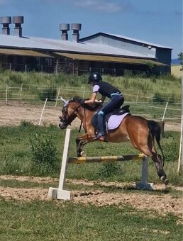 Sportovy pony - 3