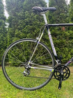 Colnago Tecnos Art Decor - 3
