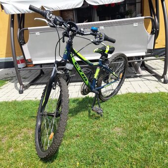 CTM BERRY 24 INCH - 3