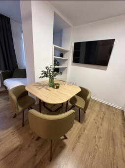 Garsónka v mestskej vile s komunitnou záhradou a s bazénom - 3