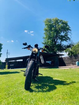 Harley Davidson Sportster - 3