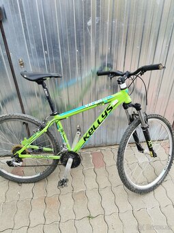 Kellys viper 20 - 3