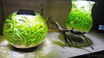 Akvarium - 3