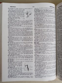 Anglický výkladový slovník - 3