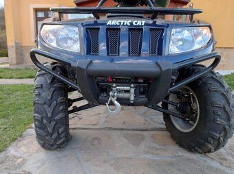 arctic cat 1000 - 3