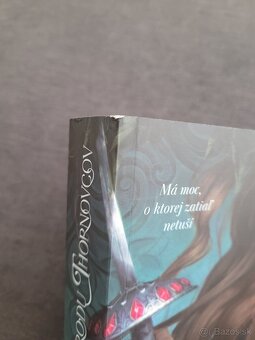 Magia rodu Thornovcov - 3