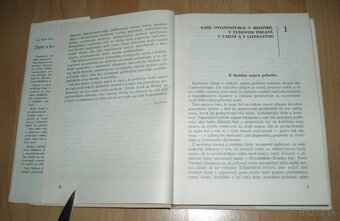 Zajac a králik - 3