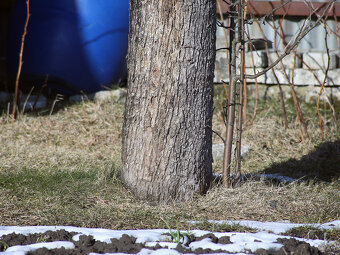 Beroflex 500mm / F8 / T2 / M42 - 3