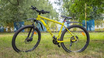 Horský Bicykel - CTM REIN 3.0 29 - 3