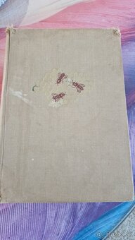 Včelárstvo -1955 - 3