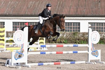 KOBYLKA PO BALLAST NA AKTIVNÍ REKREACI - 3