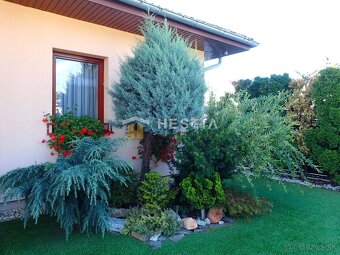 ZNÍŽENÁ CENA Bungalov s veľkým potenciálom Borský Mikuláš - 3