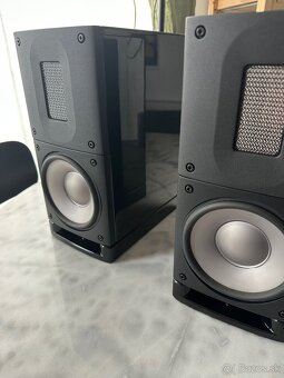 Reproduktory Raidho Acoustics X1T - 3