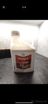Puma extra, jezatka, musec - 3