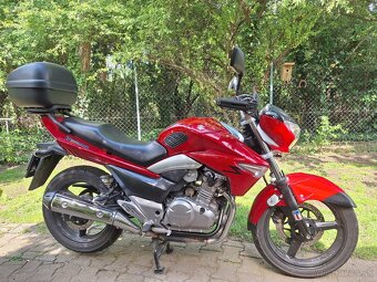 Suzuki gw 250 inazuma - 3