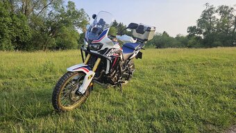 Honda - 3
