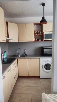 1izbový byt na prenájom - 3