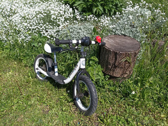 Balancer Sportrike - 3