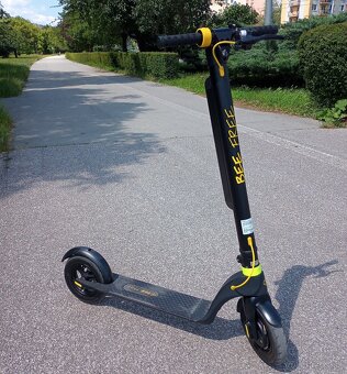 elektrická kolobežka - Bee Free Scooter1 - 3