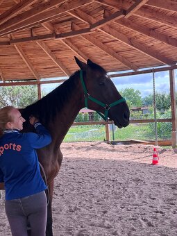 Valach A1/1 polovičný prenájom - 3