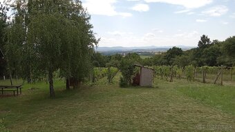 predám chatku s vinohradom Bojná - 3