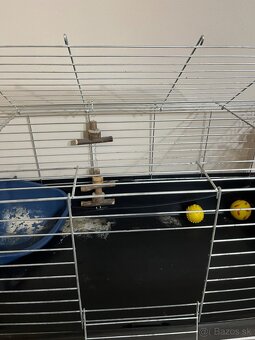 Klietka pre morča / zajačika - 3