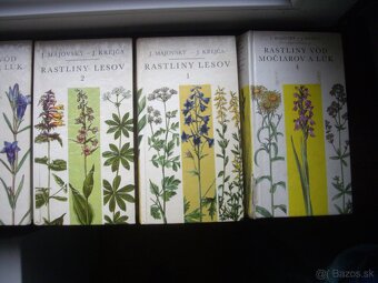 Rastliny pieskov a strání a iné - 3