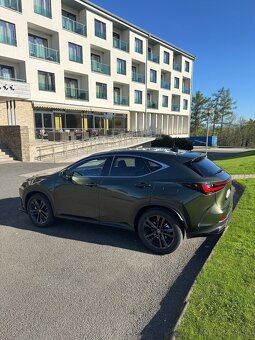 Lexus NX Executive Top - 3