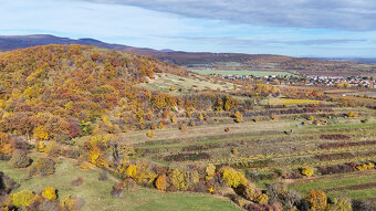Pekný lesný pozemok kúsok od vyhliadky Vimperk - 3