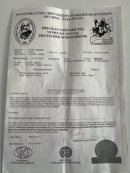 ⸻ Darujem nemeckého ovčia - 3