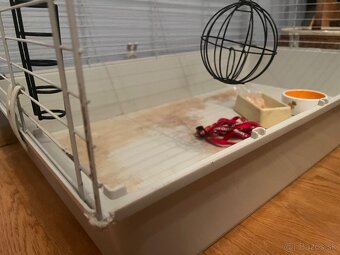 Klietka pre králika/ morča - 3