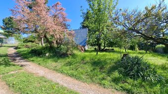 Záhrada nad Dubčekovou ulicou NMnV - 3