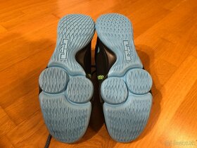 Nike Lebron Witness V v. 43 - 3