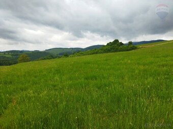 Znížená cena - Predaj pozemku 4708 m2, Budička pri Zvolene - 3