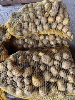 Predám Zemiaky na zimné uskladnenie - 3