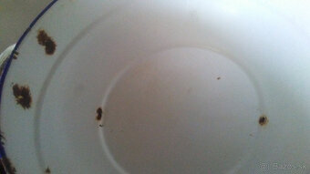 Stará misa na dekoráciu - 3