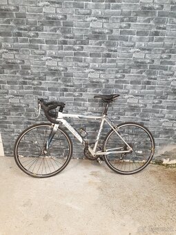 Trek - 3