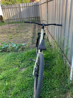 CTM dirtking pro 2023 - 3