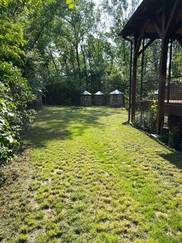 Na predaj pozemok o rozlohe 292000 m2 s poľovníckou chatou - 3