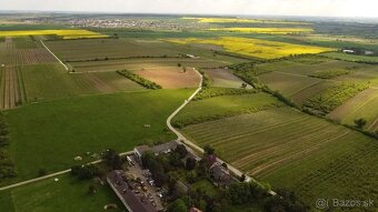 🍇 NA PREDAJ: Vinica v Modre – aj na SPLÁTKY 🍷 - 3