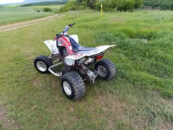 Yamaha Raptor 660 - 3