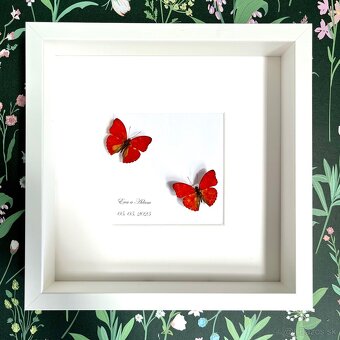 Svadobné motýle s venovaním - 3