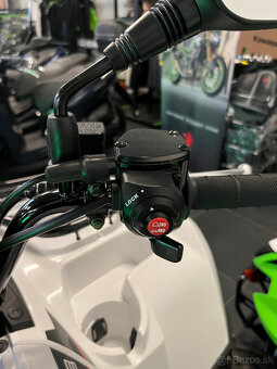 Kawasaki Brute Force 450 - 3