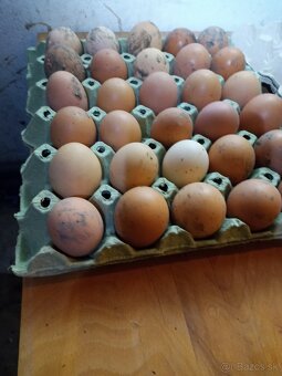 Nasadove vajicka - 3