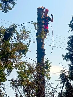Výrub stromov - Košice a okolie | rizikové&výškové-bezpečne - 3