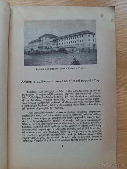 Brožúra - Tekuté ovoce národní nápoj - 3