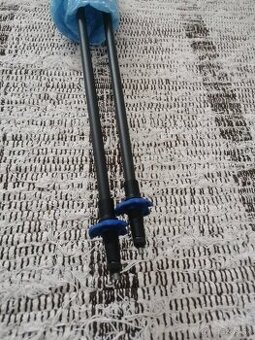 Palice Black Diamond - Distance Carbon - 120cm - 3