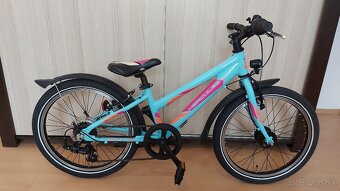 Detsky bicykel Hercules 20" - 3