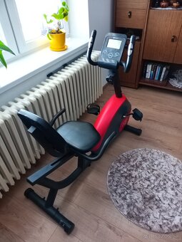 Recumbent Hop-sport - 3