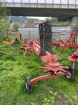 Hrabacka kuhn - 3